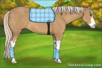 Horse Color:Palomino Splash Frame 