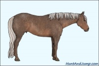 Horse Color:Silver Black Sabino Splash Frame Brindle
