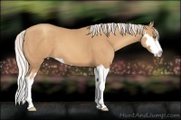Horse Color:Silver Classic Champagne Splash Frame 