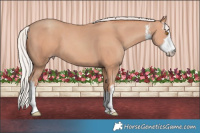 Horse Color:White Spotted Silver Classic Champagne 