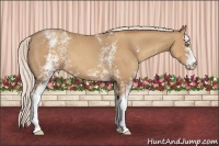 Horse Color:White Spotted Silver Classic Champagne 