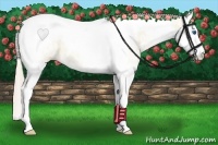 Horse Color:White Spotted Perlino Dun Splash Tobiano