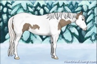 Horse Color:Silver Grullo Splash Tobiano 