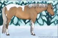 Horse Color:Silver Buckskin Tobiano 