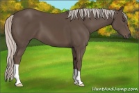 Horse Color:Silver Black 