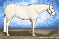 Horse Color:Silver Classic Cream Champagne Roan Pearl Splash Frame Rabicano