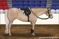 Horse Color:Silver Black Pearl Splash  Brindle