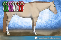 Horse Color:Gray Smoky Creme Dun 