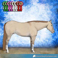 Horse Color:Gray Smoky Creme Dun 