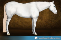 Horse Color:White Spotted Amber Cream Champagne Pearl Dun 
