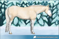 Horse Color:White Spotted Silver Smoky Grullo Pearl Splash 