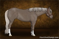 Horse Color:Silver Black 