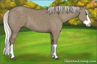 Horse Color:Silver Grullo Splash 