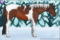 Horse Color:Bay Tobiano