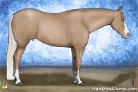 Horse Color:Silver Black Pearl Sabino Splash Frame Rabicano