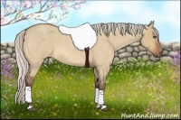 Horse Color:Silver Bay Roan Dun 
