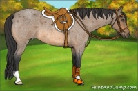 Horse Color:Buckskin Roan 