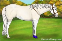 Horse Color:Silver Amber Cream Champagne Pearl Dun Splash 