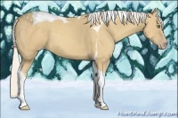 Horse Color:Silver Classic Cream Champagne Tobiano
