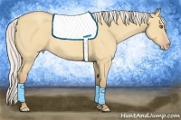 Horse Color:Silver Amber Champagne Roan Dun