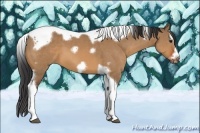 Horse Color:Bay Dun Splash Tobiano Frame 