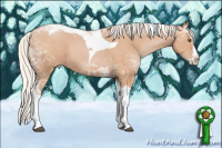 Horse Color:White Spotted Silver Black Ice Pearl Splash Tobiano