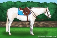 Horse Color:Perlino Splash Tobiano