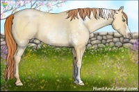 Horse Color:White Spotted Amber Champagne Pearl Dun Splash