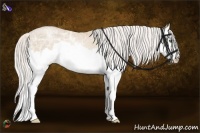 Horse Color:Silver Smoky Black Ice Pearl Sabino Splash Rabicano