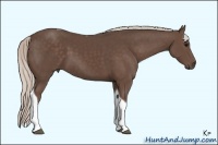 Horse Color:Silver Black Sabino Tobiano 