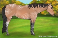 Horse Color:Bay Ice Frame 