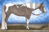 Horse Color:Silver Black Splash Tobiano 