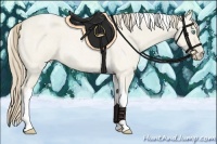 Horse Color:Smoky Creme Roan Dun Tobiano 