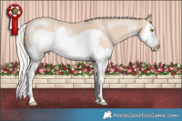 Horse Color:Silver Classic Champagne Dun Sabino Splash Frame