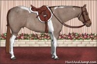 Horse Color:Red Roan Tobiano Rabicano