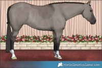 Horse Color:Smoky Grullo Rabicano
