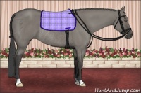 Horse Color:Smoky Grullo Rabicano