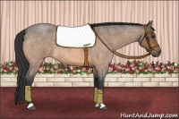 Horse Color:Buckskin Roan 