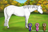 Horse Color:Gray Buckskin Roan 