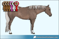 Horse Color:Silver Black Tobiano 