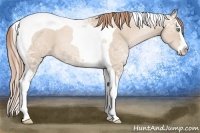 Horse Color:Smoky Black Ice Pearl Splash Tobiano 