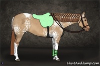 Horse Color:White Spotted Red Dun Tobiano