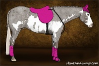 Horse Color:Silver Blue Roan Sabino Splash Frame
