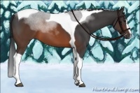 Horse Color:Brown Sabino Tobiano