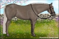 Horse Color:Silver Black 