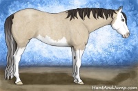 Horse Color:Classic Champagne Roan Dun Splash