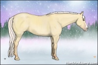 Horse Color:Silver Classic Cream Champagne Dun Sabino Splash 