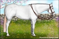 Horse Color:Classic Champagne Dun Sabino Splash Appaloosa 