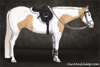 Horse Color:Silver Amber Champagne Splash Tobiano