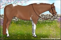 Horse Color:Chestnut Splash Tobiano Rabicano 